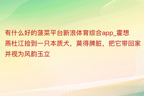 有什么好的菠菜平台新浪体育综合app_霍想燕杜江捡到一只本质犬，莫得脾脏，把它带回家并视为风韵玉立